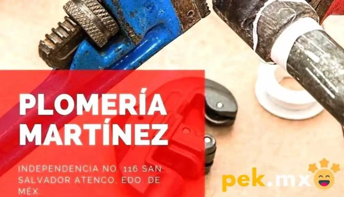 Plomeria Martinez Con Garra Zona - San Salvador Atenco
