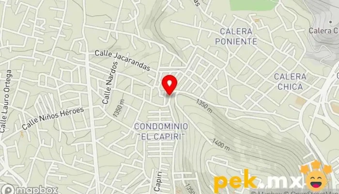 mapa de Plomeria y Electricidad Fontanero en Calera Chica