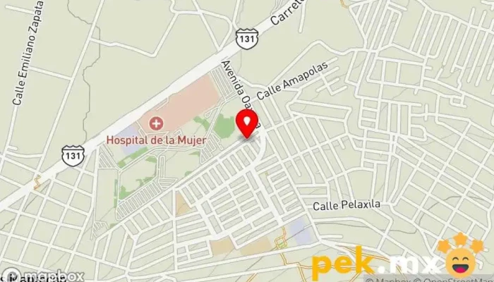 mapa de Plomería y Electricidad Mendoza Electricista en Reyes Mantecón