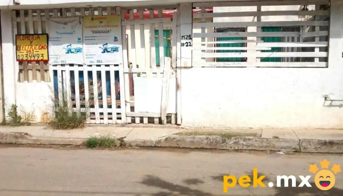 Plomería y Electricidad Mendoza - Reyes Mantecón