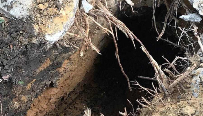 Plomero, Eléctrico y Aire acondicionado Quintana Roo. - Mexico