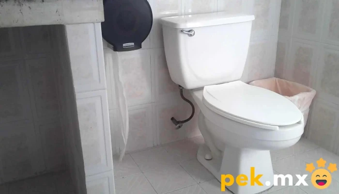 Plomero Maruri -  Interior - Toluca de Lerdo