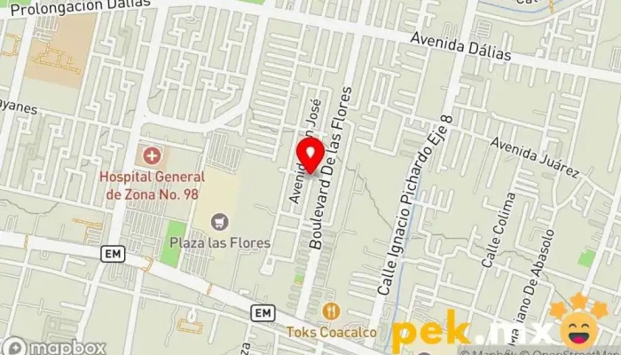 mapa de PROTECNIA Electricista en San Francisco Coacalco