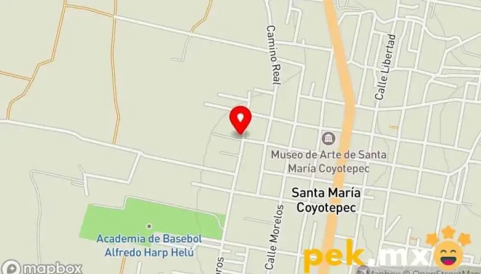 mapa de Proyecto y Construcciones Cima Electricista en Oaxaca de Juárez