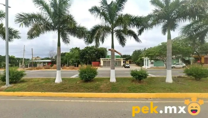 Proyectos Eléctricos Joma S. De R.l - Puerto Escondido