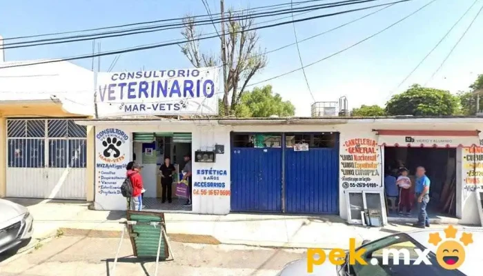 Proyectos Y Construcción - Ixtapaluca