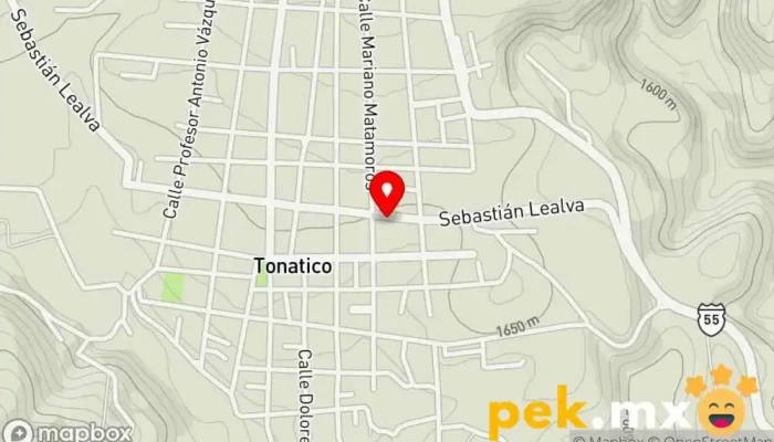 mapa de Purificadora De Agua Tonatico Compañía suministradora de agua en Tonatico
