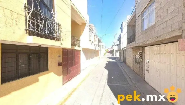 Raito Solutions - Tehuacán