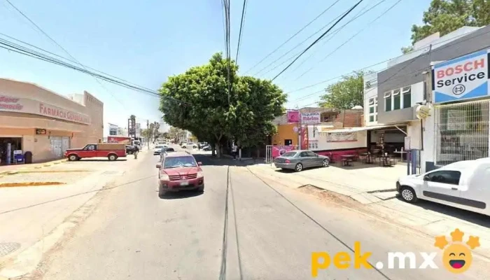 Resistencia Control Y Aire De Queretaro, S.a. De C.v. - La Reja