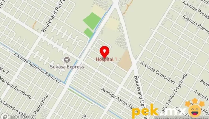 mapa de Ruíz Servicio de reparación de sistemas eléctricos para automóviles en Ahome Los Mochis