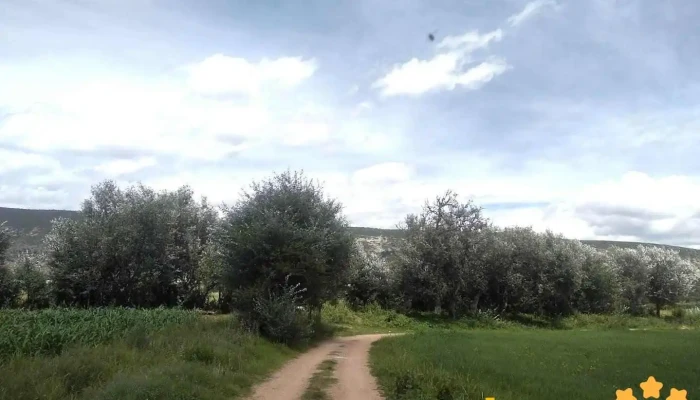 San Mateo Etlatongo - Oaxaca