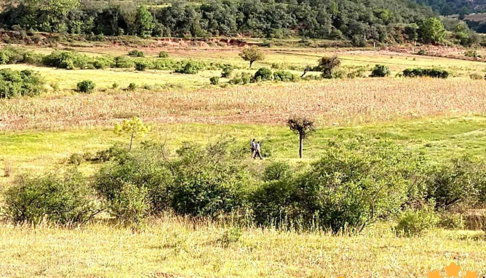 San Pedro Tidaa Videos - San Pedro Tidaá