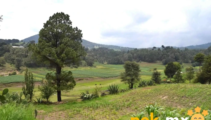 Santa Ana Nichi -  Catalogo - Santa Ana Nichi