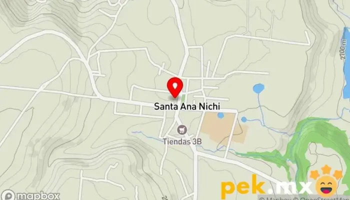mapa de Santa Ana Nichi  en Santa Ana Nichi