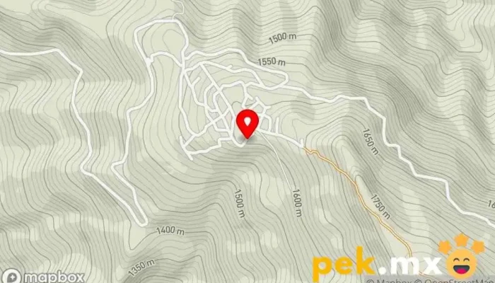 mapa de Santo Domingo Roayaga  en Santo Domingo Roayaga