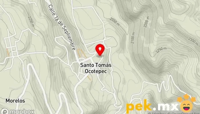mapa de Santo Tomás Ocotepec  en Santo Tomás Ocotepec