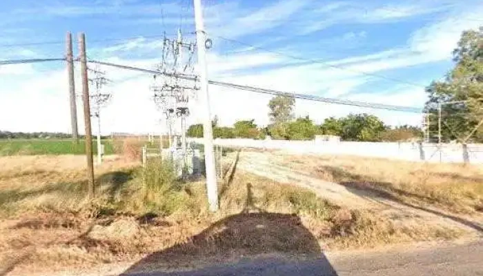 Se Reductora Pericos Fotos - Mocorito