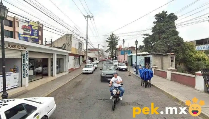 Sergio Servicio Eléctrico Automotriz - Santiago Tianguistenco De Galeana