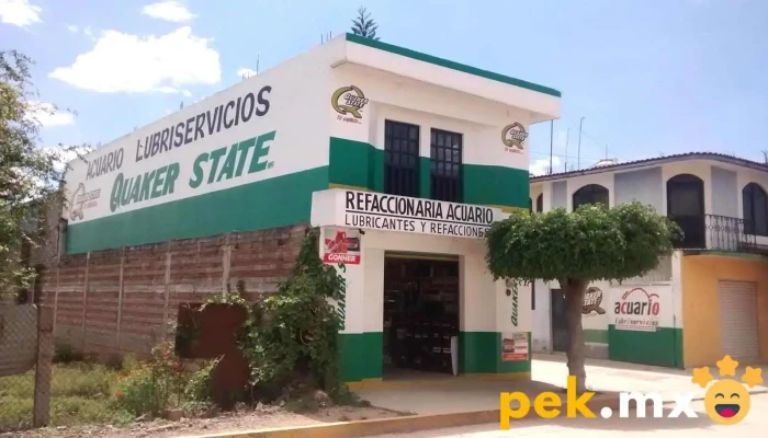 Servicio Acuario - San Antonino Castillo Velasco