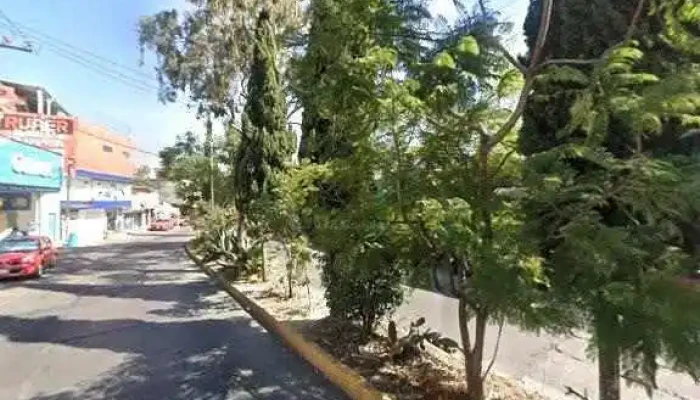 Servicio Cortes Mantenimiento En General Plomeria Pintura Electricista Y Mucho Mas Opinionesdeg - Naucalpan de Juárez