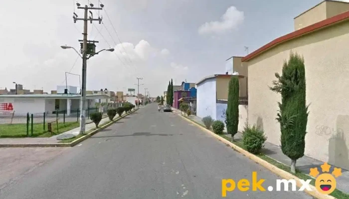 Servicio de Electricidad Doméstica El Michoacano - San Buenaventura