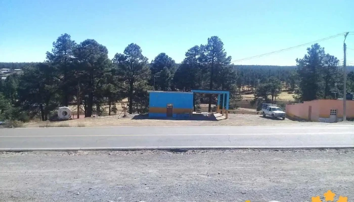 Servicio El Vergel - Ejido El Vergel