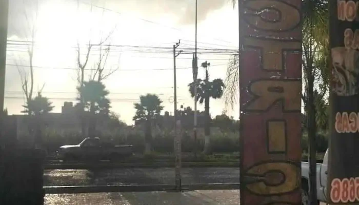 Servicio Eléctrico automotriz - Chiautla