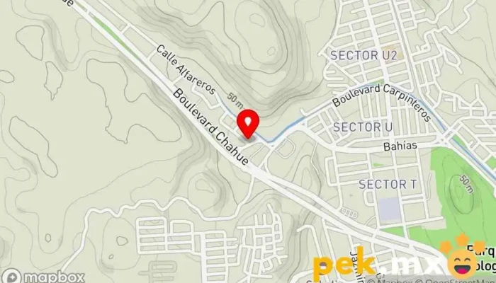mapa de Servicio Electrico Automotriz 