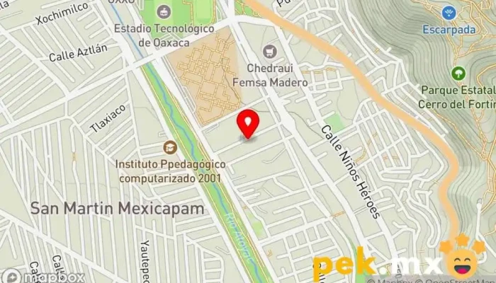 mapa de Servicio Electrico Automotriz 
