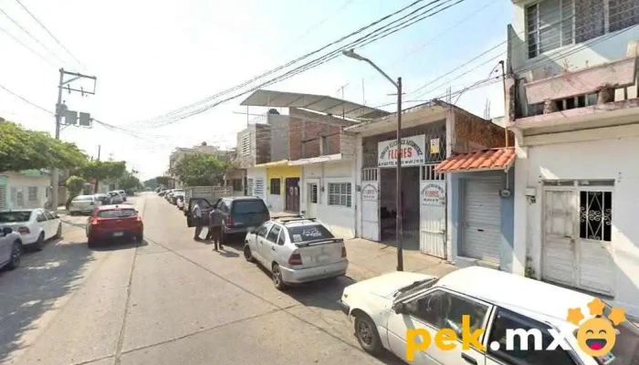 Servicio Electrico Automotriz Flores - Las Canoitas