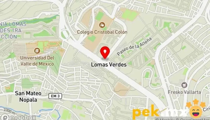 mapa de Servicio eléctrico automotriz lomas verdes Taller de automóviles en Naucalpan de Juárez