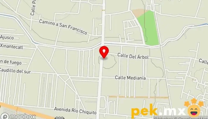 mapa de Servicio Eléctrico automotriz Taller de reparación de automóviles en Chiautla
