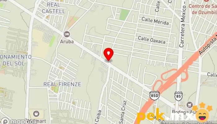 mapa de Servicio Eléctrico Automotriz 