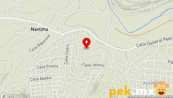 mapa de Servicio Eléctrico Automotriz 