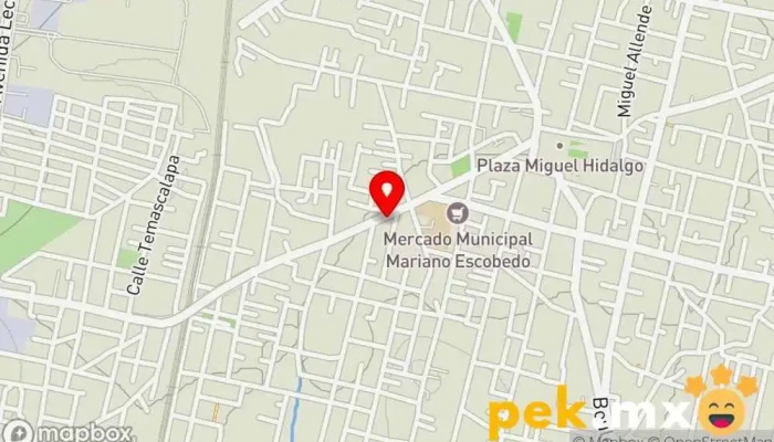 mapa de Servicio Eléctrico Automotriz 