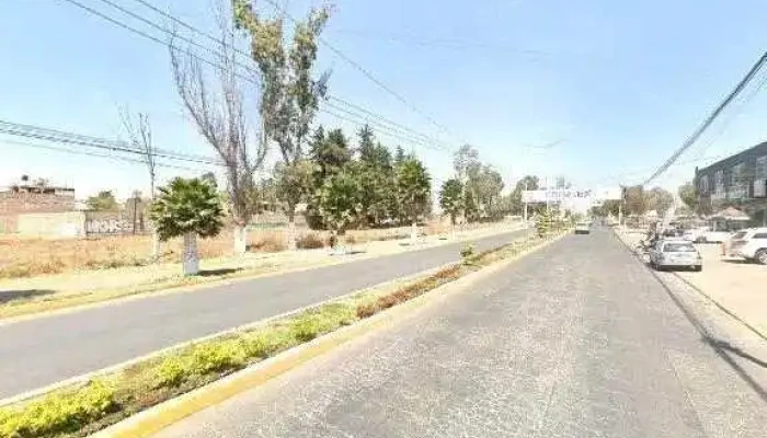 Servicio Electrico Automotriz Sitio Webdeg - Chiautla