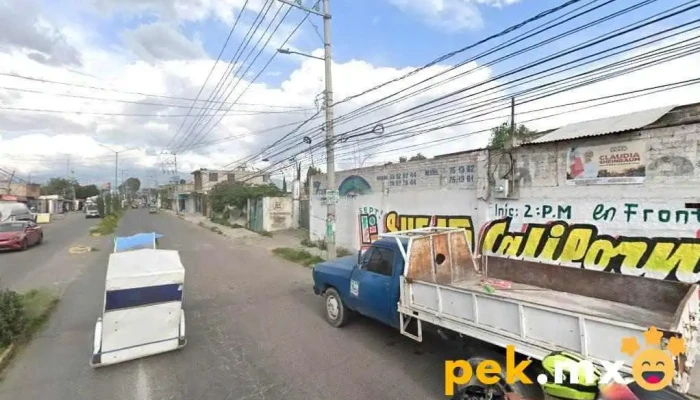 Servicio Eléctrico Automotriz Victor - Chimalhuacán