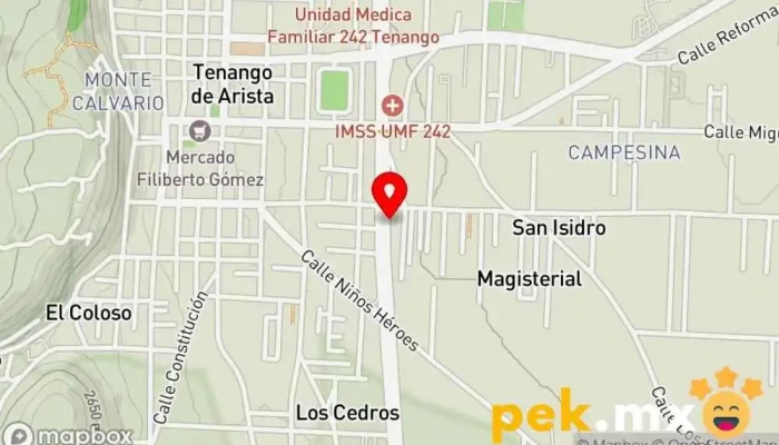 mapa de SERVICIO ELECTRICO CALDERON Taller de reparación de automóviles en Tenango de Arista