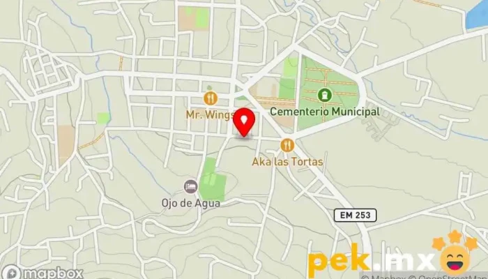 mapa de Servicio electrico 