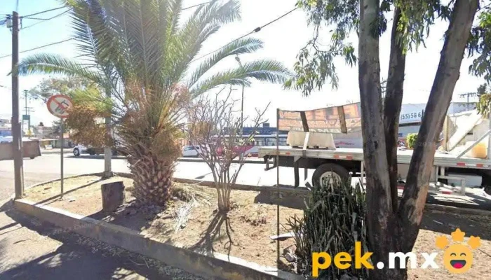 Servicio Eléctrico Concepción - Tláhuac, Ciudad De México