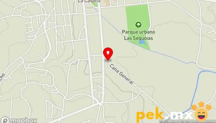 mapa de SERVICIO ELECTRICO Dan Taller de reparación de automóviles en Jilotepec de Molina Enríquez