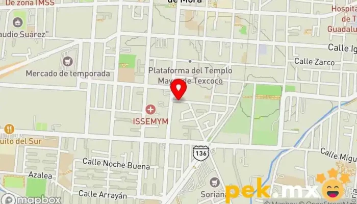 mapa de Servicio Electrico Delgado Servicio de reparación de sistemas eléctricos para automóviles en Texcoco de Mora