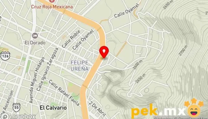 mapa de Servicio Eléctrico El Rey Servicio de reparación de sistemas eléctricos para automóviles en Atlacomulco de Fabela