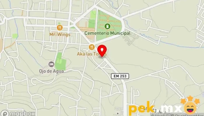 mapa de Servicio Eléctrico Franco Servicio de reparación de sistemas eléctricos para automóviles en Villa de Almoloya de Juárez