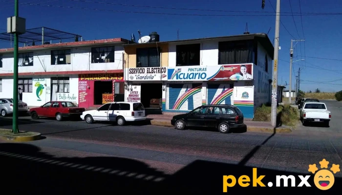 Servicio Electrico Garduno Cerca De Mi - San Felipe del Progreso