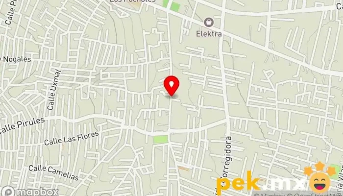 mapa de Servicio Electrico Godinez Servicio de reparación de sistemas eléctricos para automóviles en Chimalhuacán