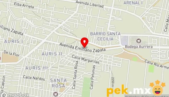 mapa de Servicio Electrico Islas Taller de reparación de automóviles, Taller mecánico en Chicoloapan de Juárez