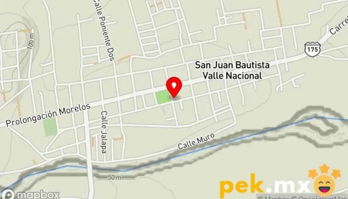 mapa de servicio eléctrico LEAL Servicio de reparación de sistemas eléctricos para automóviles en San Juan Bautista Valle Nacional
