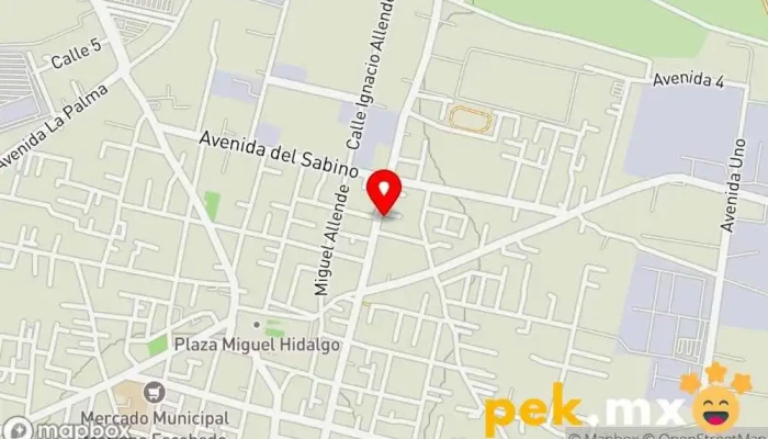 mapa de Servicio Electrico Lobo's Servicio de reparación de sistemas eléctricos para automóviles en Tultitlán de Mariano Escobedo