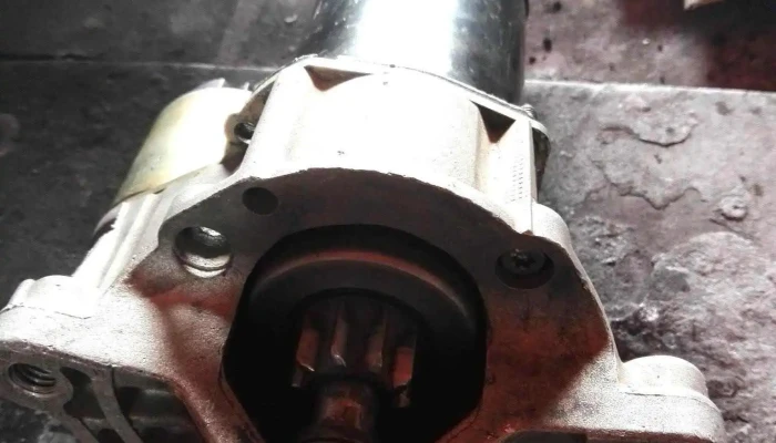 Servicio Electrico Lupillo Videos - San Martín de las Pirámides